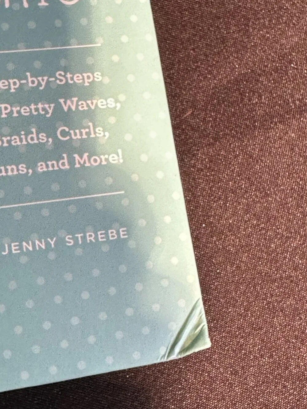 100 Perfect Hair Days Book Jenny Strebe Hairstyle Guide Coquette Boho Aesthetic